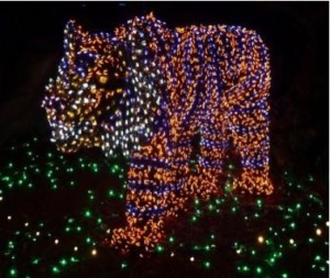 Zoo Lights