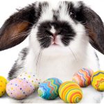 Top Things to Do In Houston for Easter
