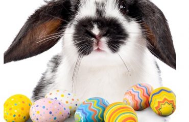 Top Things to Do In Houston for Easter