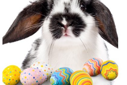 Top Things to Do In Houston for Easter