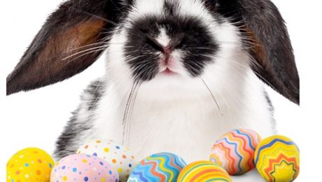 Top Things to Do In Houston for Easter